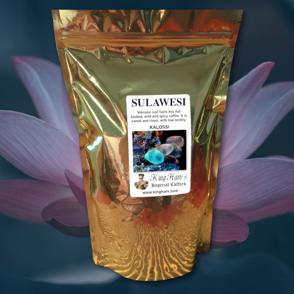 Sulawesi Coffee 1 lb - Free Shipping