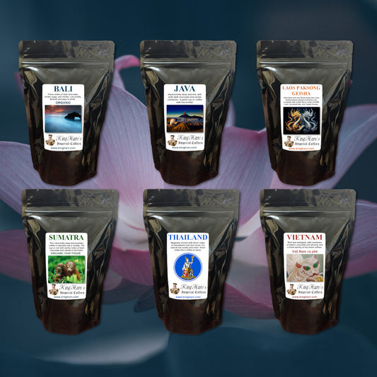 Asian Elite Variety 6 Pack - FREE SHIPPING