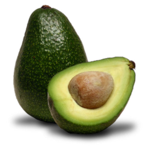 Avocado Coffee 1 lb - FREE SHIPPING