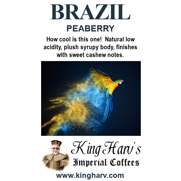 Brazil Peaberry 1 lb - Free Shipping