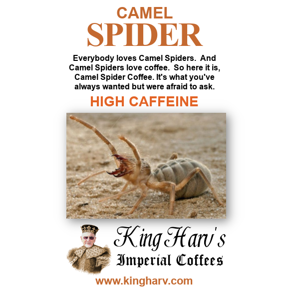 Camel Spider Coffee 1 lb - Free Shipping