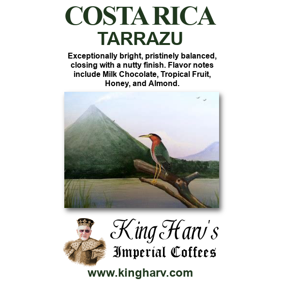 Costa Rica Tarrazu Coffee 1 lb - Free Shipping