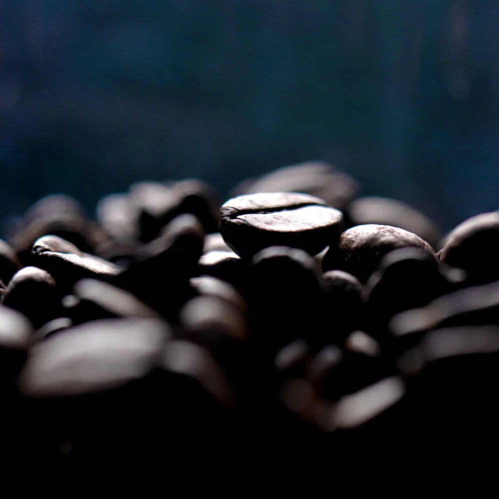 Espresso Variety 6 Pack - FREE SHIPPING