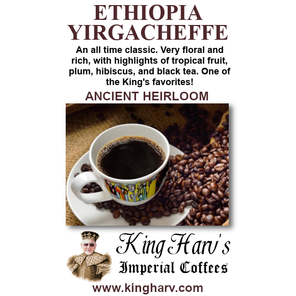 Ethiopia Yirgacheffe 1 lb - Free Shipping