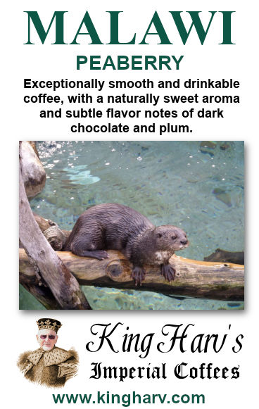 Malawi Peaberry 1 lb - FREE SHIPPING