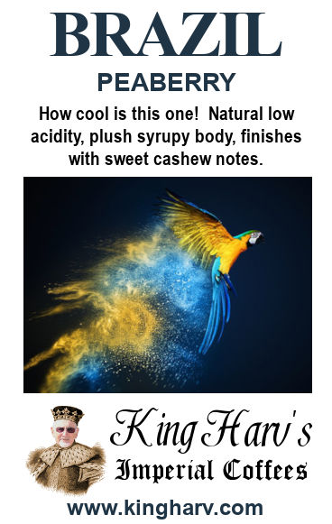 Brazil Peaberry 1 lb - FREE SHIPPING