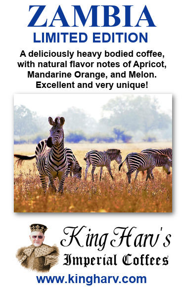 Dark Roast Variety 6 Pack - FREE SHIPPING