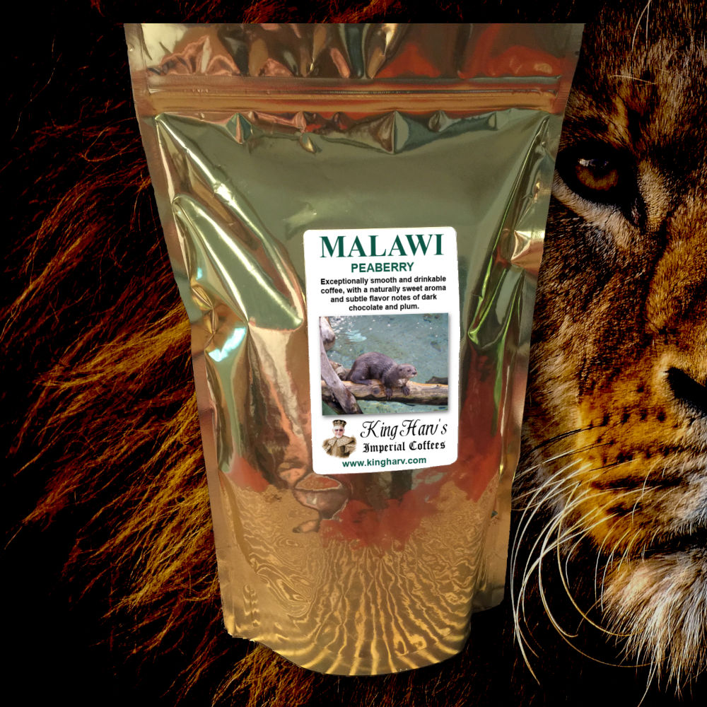 Malawi Peaberry 1 lb - FREE SHIPPING