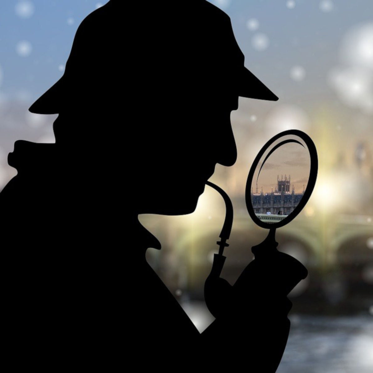 Mystery Variety 4 Pack - FREE SHIPPING