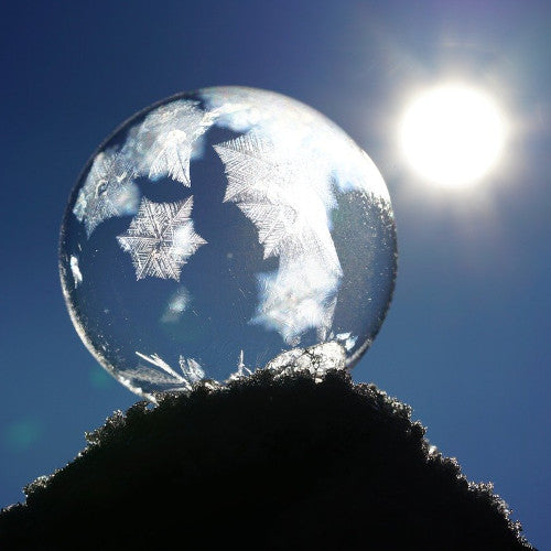 Mystery Variety 4 Pack - FREE SHIPPING