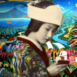 Nicaragua Geisha Coffee 1 lb - Free Shipping