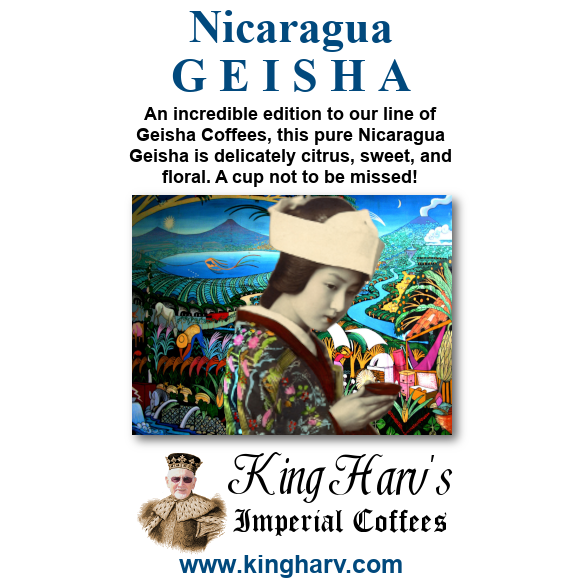 Nicaragua Geisha Coffee 1 lb - Free Shipping