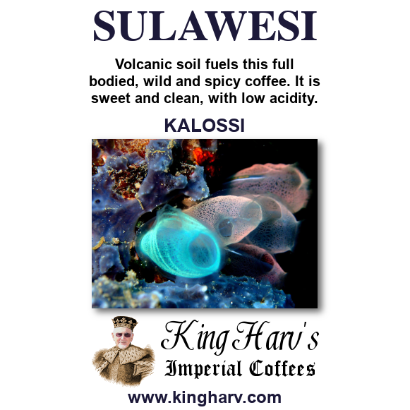 Sulawesi Coffee 1 lb - Free Shipping